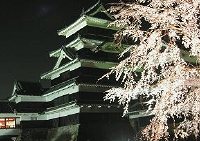 松本城の夜桜会