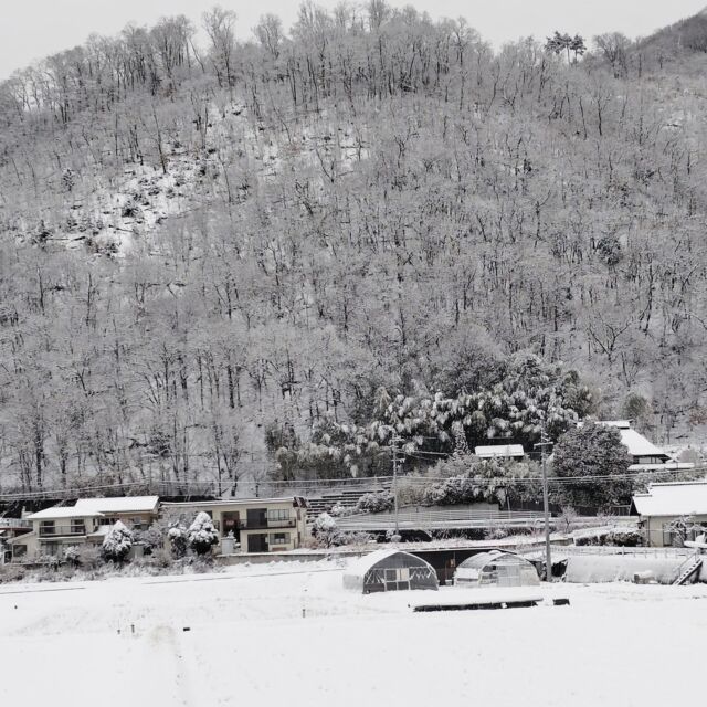 #最強寒波 で#松本 も自宅のある里山辺は10cmぐらいの#積雪
朝は一面の#雪景色 と、里山は#水墨画の世界 でした